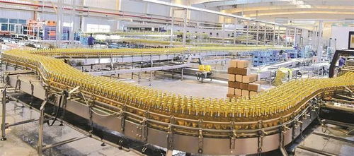 不吃老本 再立新功 南疆师市以技术服务打造投资高地